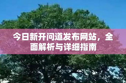 今日新开问道发布网站，全面解析与详细指南