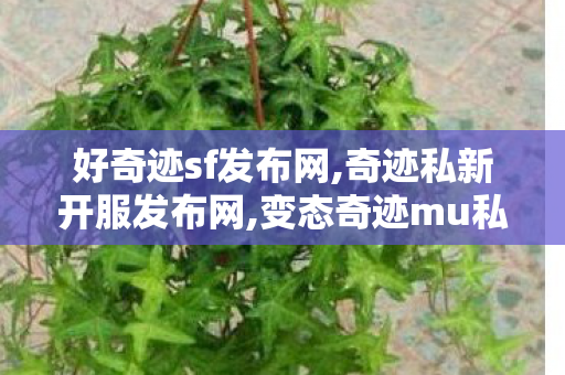 好奇迹sf发布网,奇迹私新开服发布网,变态奇迹mu私发服网,奇迹私新开服发布网