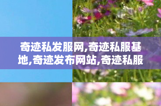奇迹私发服网,奇迹私服基地,奇迹发布网站,奇迹私服基地