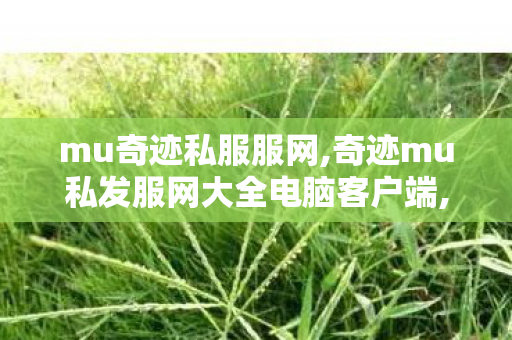 mu奇迹私服服网,奇迹mu私发服网大全电脑客户端,奇迹私服网址,奇迹mu私发服网大全电脑客户端