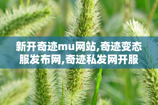新开奇迹mu网站,奇迹变态服发布网,奇迹私发网开服表,奇迹变态服发布网