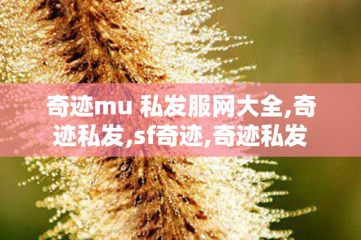 奇迹mu 私发服网大全,奇迹私发,sf奇迹,奇迹私发