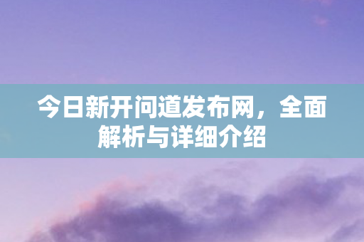 今日新开问道发布网，全面解析与详细介绍