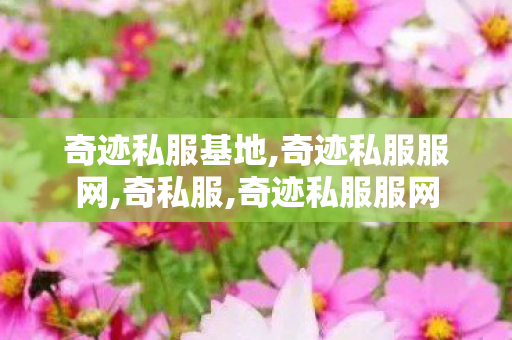 奇迹私服基地,奇迹私服服网,奇私服,奇迹私服服网