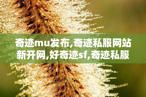 奇迹mu发布,奇迹私服网站新开网,好奇迹sf,奇迹私服网站新开网
