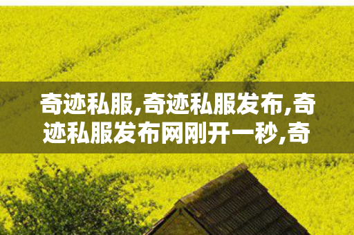 奇迹私服,奇迹私服发布,奇迹私服发布网刚开一秒,奇迹私服发布