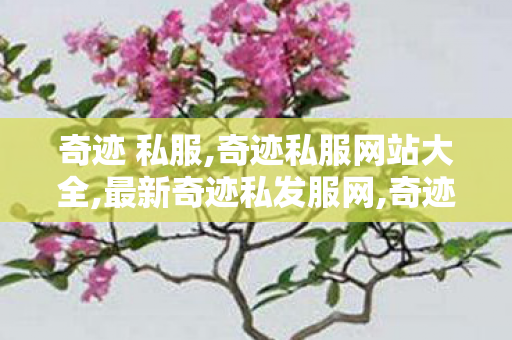 奇迹 私服,奇迹私服网站大全,最新奇迹私发服网,奇迹私服网站大全