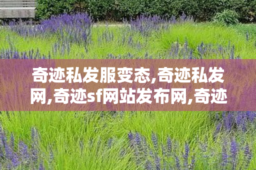 奇迹私发服变态,奇迹私发网,奇迹sf网站发布网,奇迹私发网