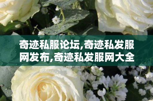 奇迹私服论坛,奇迹私发服网发布,奇迹私发服网大全,奇迹私发服网发布