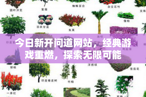 今日新开问道网站，经典游戏重燃，探索无限可能