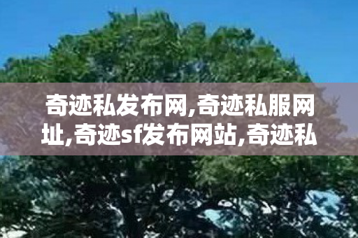 奇迹私发布网,奇迹私服网址,奇迹sf发布网站,奇迹私服网址