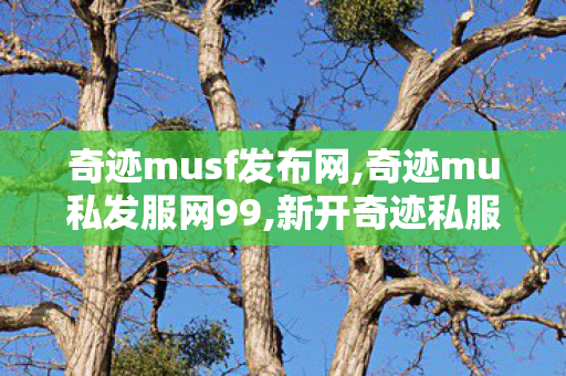 奇迹musf发布网,奇迹mu私发服网99,新开奇迹私服大全,奇迹mu私发服网99