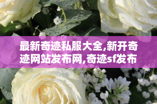 最新奇迹私服大全,新开奇迹网站发布网,奇迹sf发布网大全,新开奇迹网站发布网