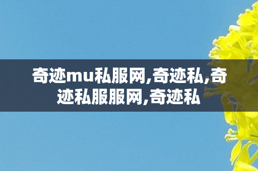 奇迹mu私服网,奇迹私,奇迹私服服网,奇迹私