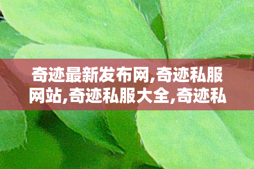 奇迹最新发布网,奇迹私服网站,奇迹私服大全,奇迹私服网站