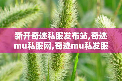 新开奇迹私服发布站,奇迹mu私服网,奇迹mu私发服网大全,奇迹mu私服网