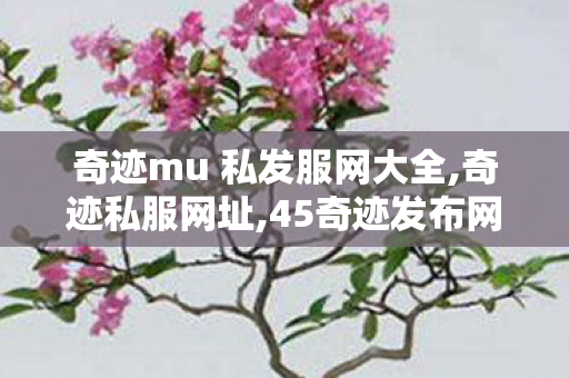 奇迹mu 私发服网大全,奇迹私服网址,45奇迹发布网,奇迹私服网址