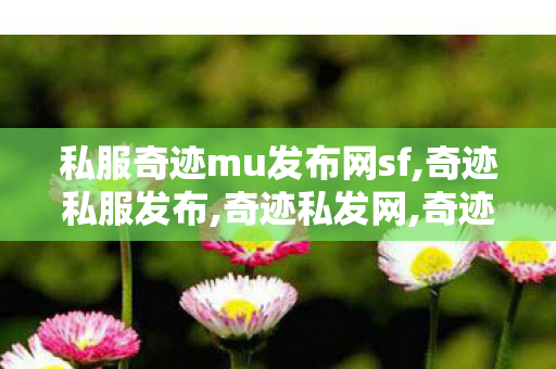 私服奇迹mu发布网sf,奇迹私服发布,奇迹私发网,奇迹私服发布