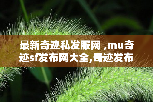 最新奇迹私发服网 ,mu奇迹sf发布网大全,奇迹发布,mu奇迹sf发布网大全