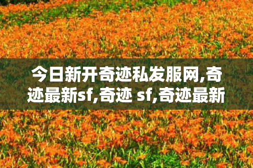今日新开奇迹私发服网,奇迹最新sf,奇迹 sf,奇迹最新sf