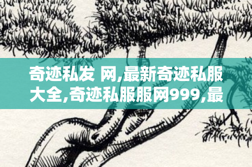 奇迹私发 网,最新奇迹私服大全,奇迹私服服网999,最新奇迹私服大全
