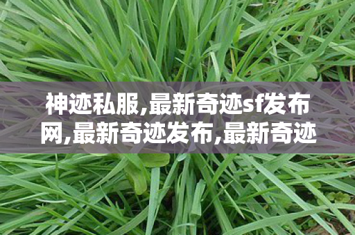 神迹私服,最新奇迹sf发布网,最新奇迹发布,最新奇迹sf发布网