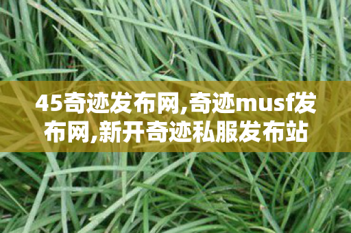 45奇迹发布网,奇迹musf发布网,新开奇迹私服发布站,奇迹musf发布网