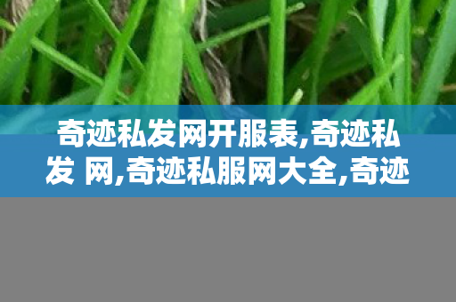 奇迹私发网开服表,奇迹私发 网,奇迹私服网大全,奇迹私发 网