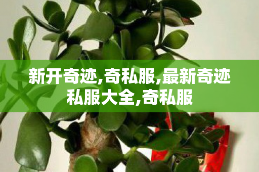 新开奇迹,奇私服,最新奇迹私服大全,奇私服