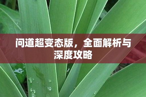 问道超变态版，全面解析与深度攻略