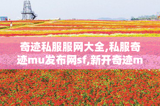 奇迹私服服网大全,私服奇迹mu发布网sf,新开奇迹musf发布网,私服奇迹mu发布网sf
