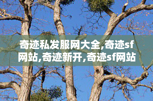 奇迹私发服网大全,奇迹sf网站,奇迹新开,奇迹sf网站
