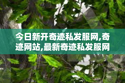 今日新开奇迹私发服网,奇迹网站,最新奇迹私发服网,奇迹网站