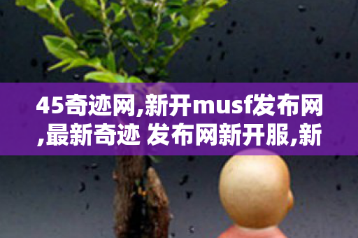 45奇迹网,新开musf发布网,最新奇迹 发布网新开服,新开musf发布网