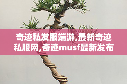 奇迹私发服端游,最新奇迹私服网,奇迹musf最新发布网,最新奇迹私服网