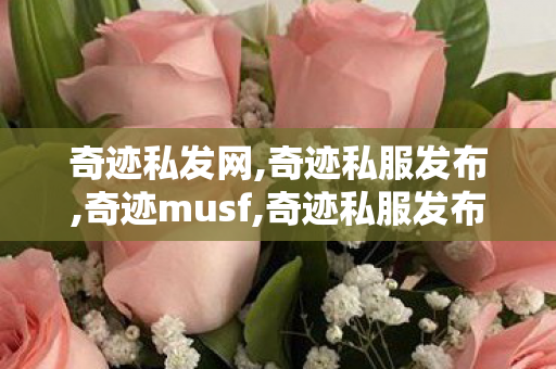 奇迹私发网,奇迹私服发布,奇迹musf,奇迹私服发布