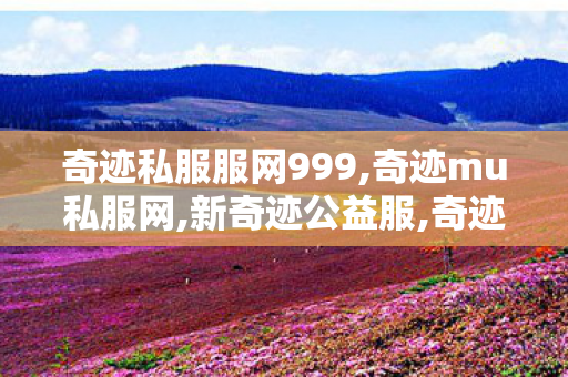 奇迹私服服网999,奇迹mu私服网,新奇迹公益服,奇迹mu私服网