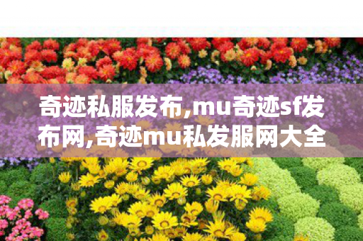 奇迹私服发布,mu奇迹sf发布网,奇迹mu私发服网大全,mu奇迹sf发布网