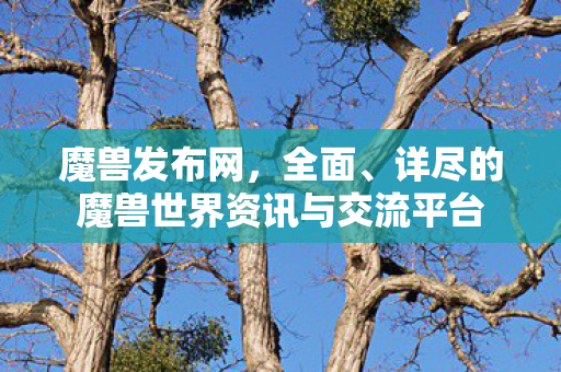 魔兽发布网，全面、详尽的魔兽世界资讯与交流平台