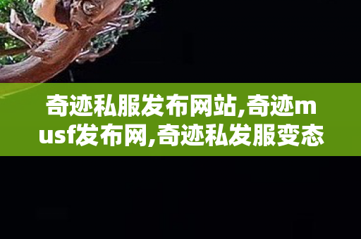 奇迹私服发布网站,奇迹musf发布网,奇迹私发服变态,奇迹musf发布网