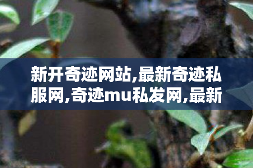 新开奇迹网站,最新奇迹私服网,奇迹mu私发网,最新奇迹私服网