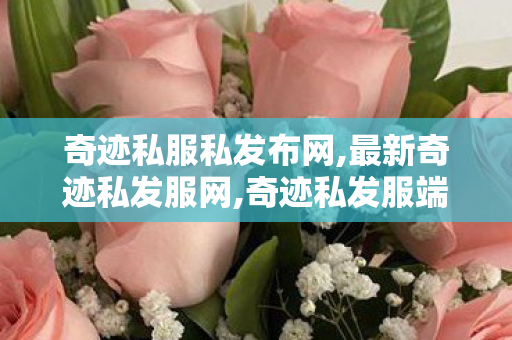 奇迹私服私发布网,最新奇迹私发服网,奇迹私发服端游,最新奇迹私发服网