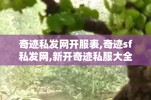 奇迹私发网开服表,奇迹sf私发网,新开奇迹私服大全,奇迹sf私发网