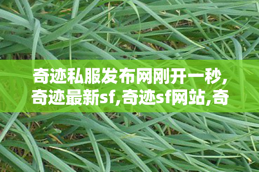 奇迹私服发布网刚开一秒,奇迹最新sf,奇迹sf网站,奇迹最新sf