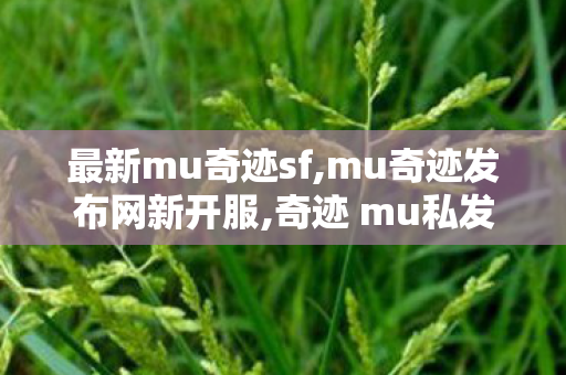 最新mu奇迹sf,mu奇迹发布网新开服,奇迹 mu私发服网大全,mu奇迹发布网新开服
