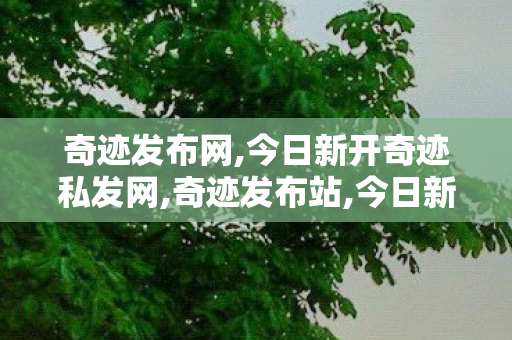 奇迹发布网,今日新开奇迹私发网,奇迹发布站,今日新开奇迹私发网