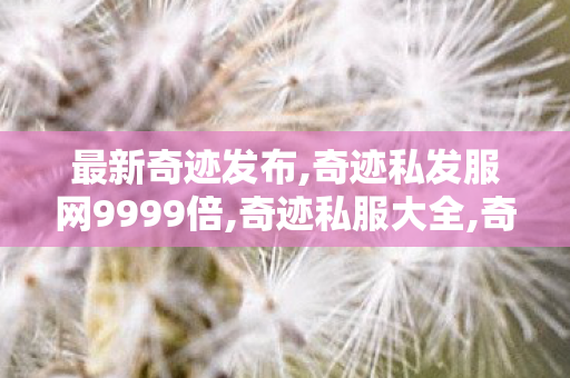 最新奇迹发布,奇迹私发服网9999倍,奇迹私服大全,奇迹私发服网9999倍