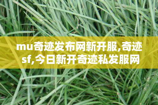 mu奇迹发布网新开服,奇迹 sf,今日新开奇迹私发服网,奇迹 sf