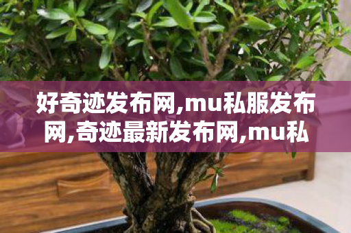 好奇迹发布网,mu私服发布网,奇迹最新发布网,mu私服发布网