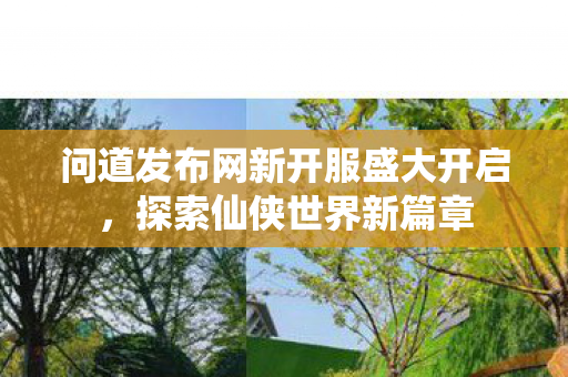 问道发布网新开服盛大开启，探索仙侠世界新篇章